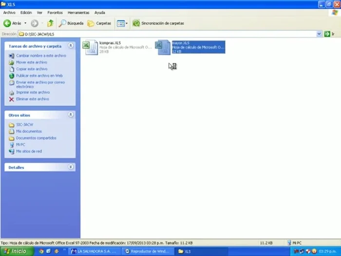 Abrir el archivo 'mayor' para ver los datos.