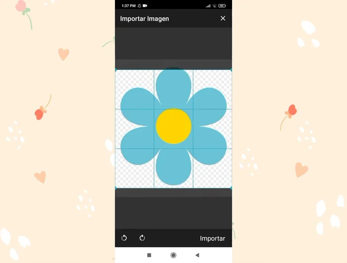 Importar la imagen seleccionando la zona a cuadricular.