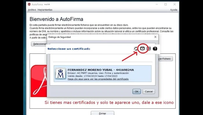 Seleccionar el certificado correcto al iniciar Autofirma. Si tienes varios, elige el adecuado para la firma.