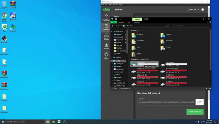 Eliminar el contenido de la carpeta `mainnet` dentro de la carpeta de Chia. **Atención:** Este paso eliminará los datos locales del blockchain. Asegúrate de tener una copia de seguridad de tu seed phrase (si es necesario).