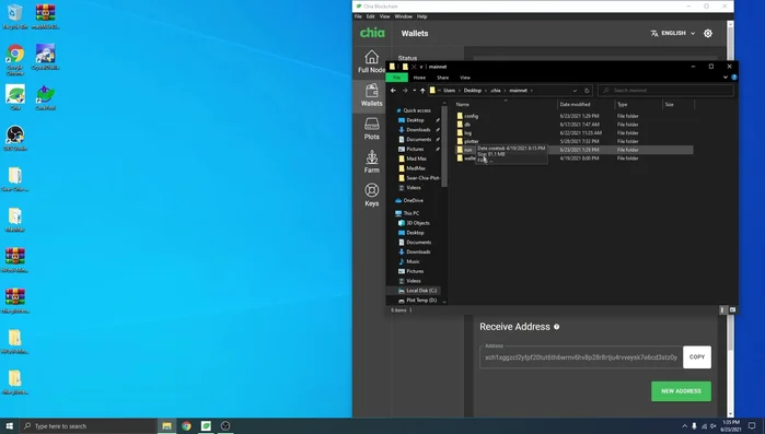 Eliminar el contenido de la carpeta `mainnet` dentro de la carpeta de Chia. **Atención:** Este paso eliminará los datos locales del blockchain. Asegúrate de tener una copia de seguridad de tu seed phrase (si es necesario).