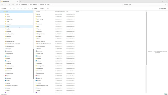 Dentro de 'AppData', busca la carpeta 'Roaming'.