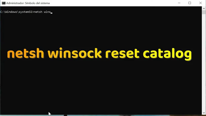 Ejecuta el comando `netsh winsock reset catalog`.
